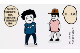 新浦债务清欠服务